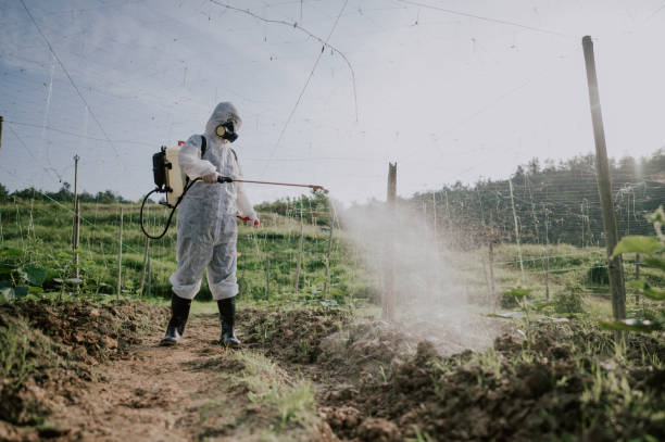 Professional Pest Control in Aberdeen Proving Ground, MD