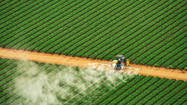 Best Wasp Removal Services  in Aberdeen Proving Ground, MD