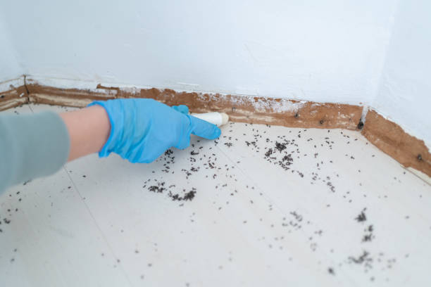 Best Local Pest Control Services  in Aberdeen Proving Ground, MD