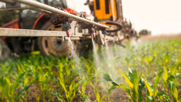Best Best Pest Control Companies  in Aberdeen Proving Ground, MD